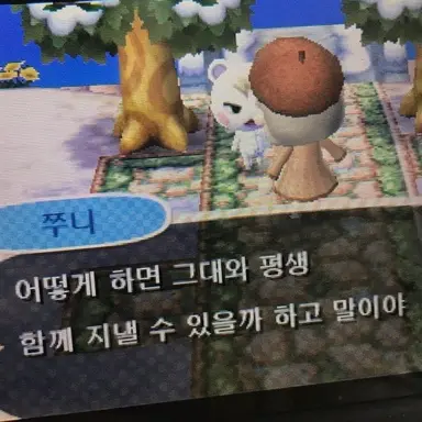 Profile image of 루미