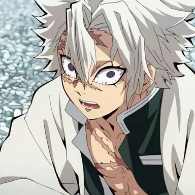 Profile image of 시나즈가와 사네미