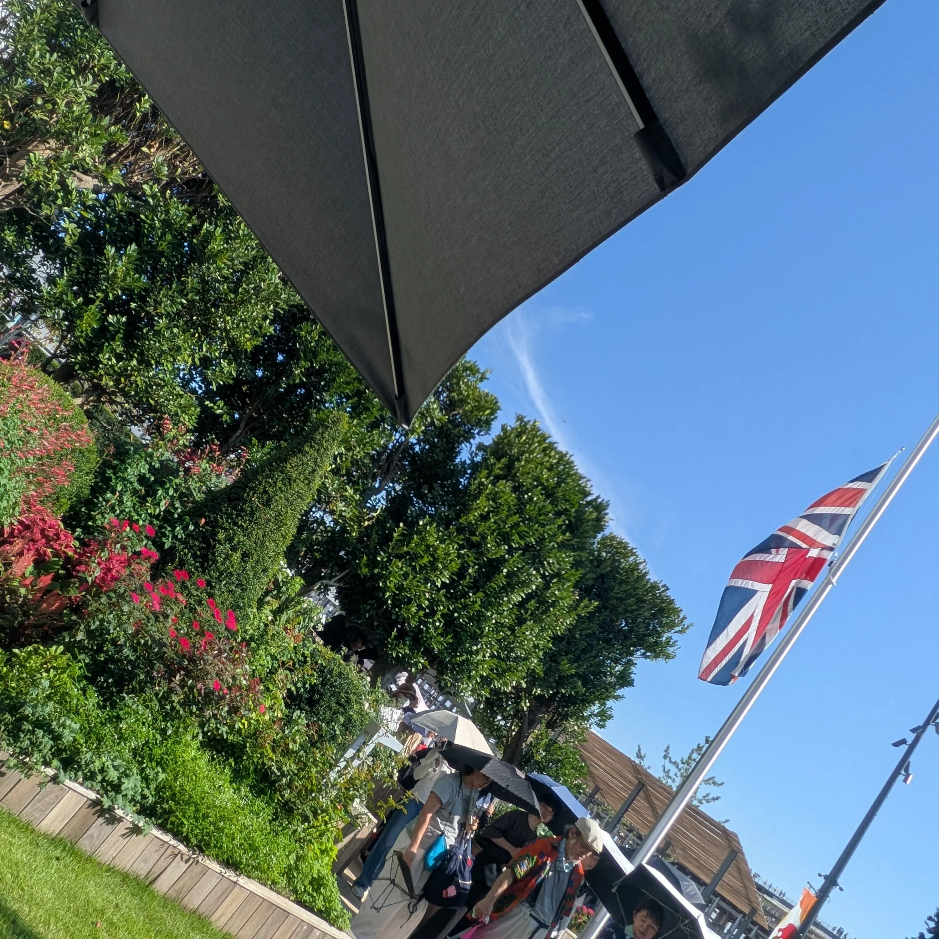 tadanohetakura의 アサカク