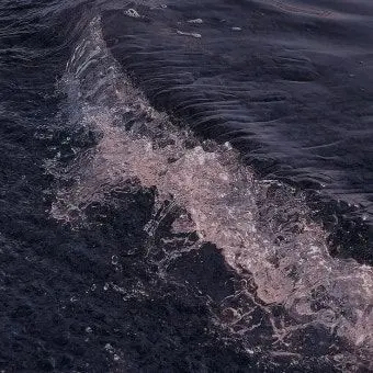 Loveskz0801의 스트레이키즈