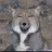 여우