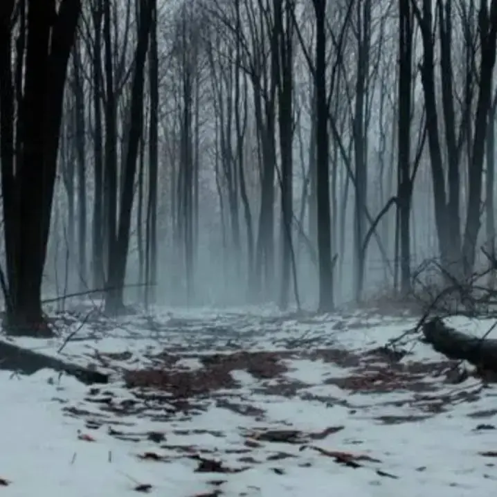 JerkyYear1929의 Rowan-fpe GL