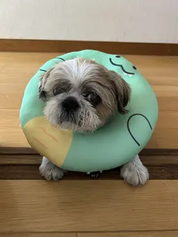 Profile image of やまちゃん