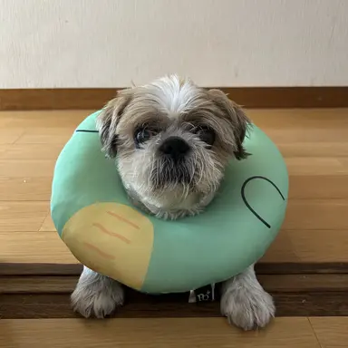 Profile image of たくちゃん