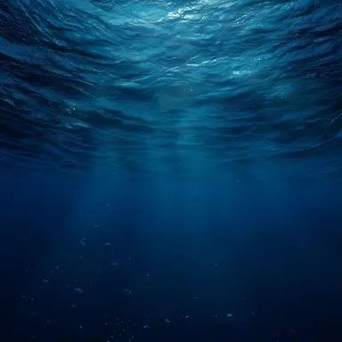 Profile image of 바다