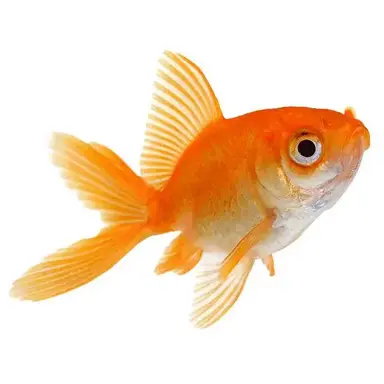 Profile image of 우유참치