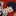 翔