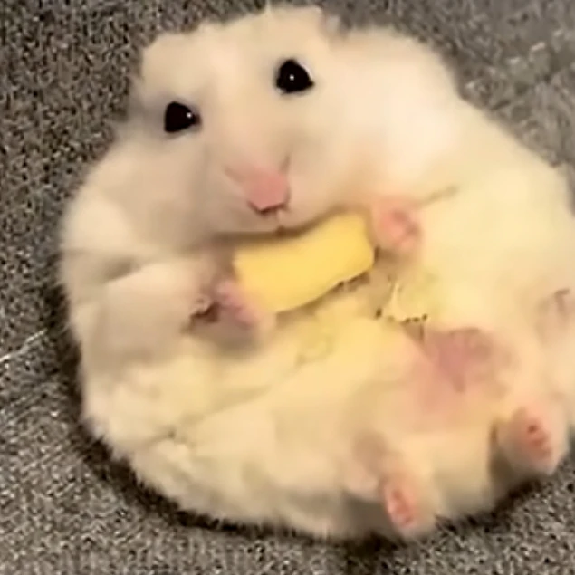 민호