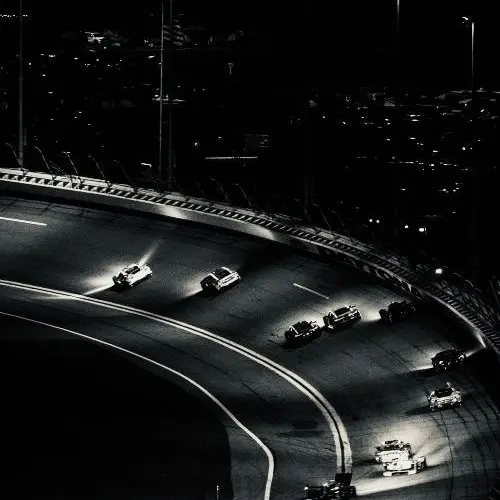 InlandLid4794의 梅花