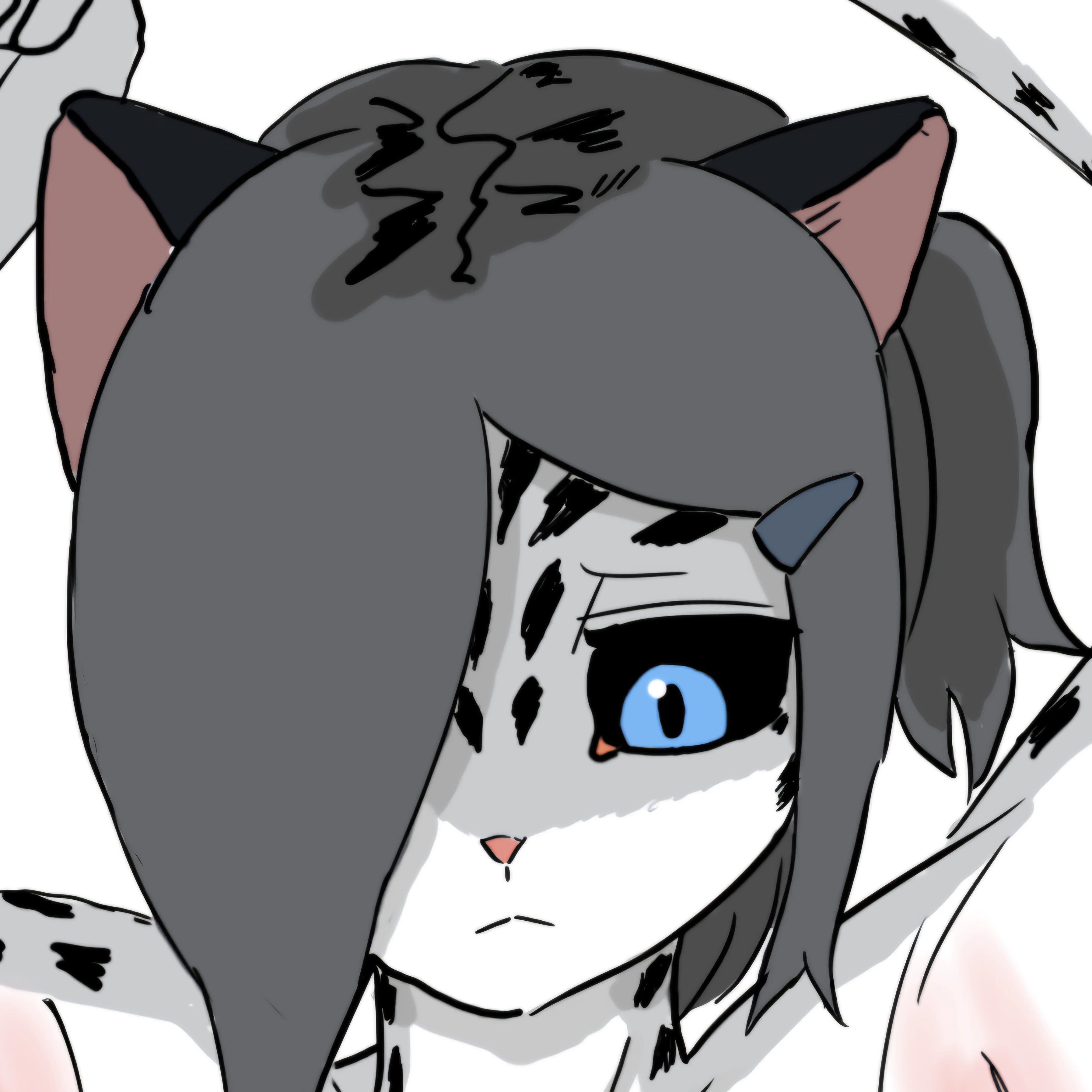 설표