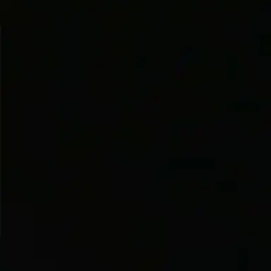 Profile image of 돼지