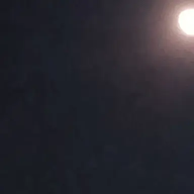 Profile image of 재현