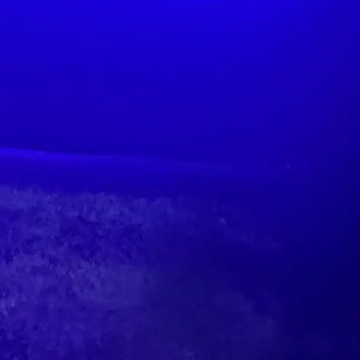 UglySlug7373의 ご主人様、ご命令が過ぎます