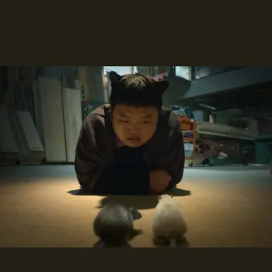 Profile image of 세이드