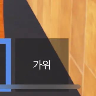 Profile image of 료미