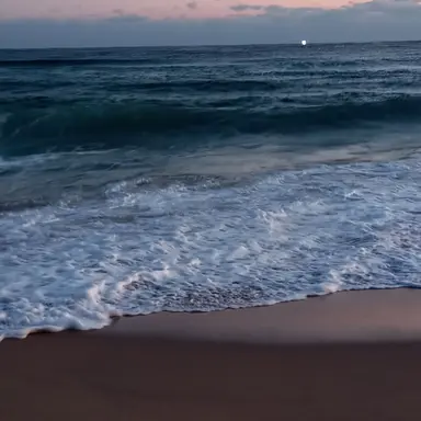 Profile image of 리베우스