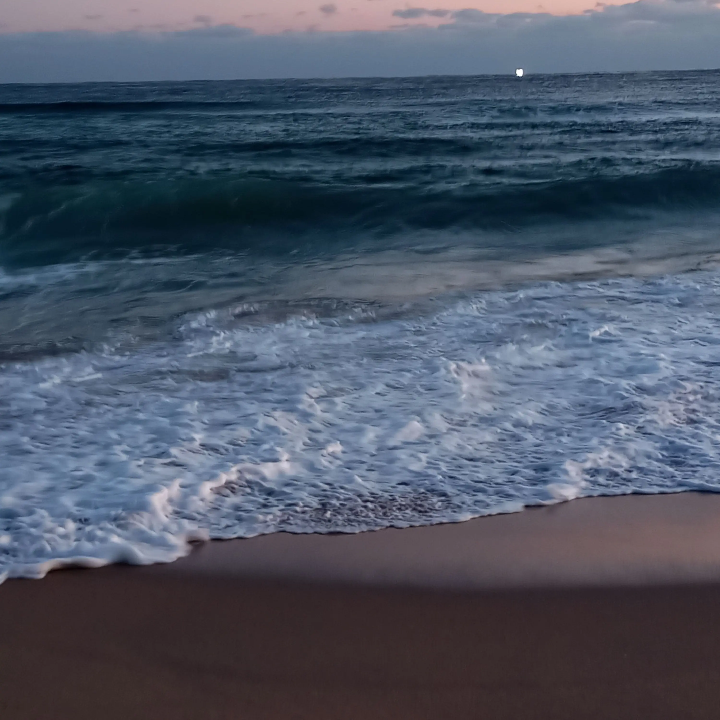 DemureTea5600의 아기 취급 받고 있습니다.