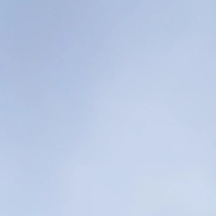 백이진