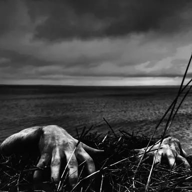 Profile image of Ringo Starr