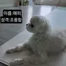 Profile image of 선생님