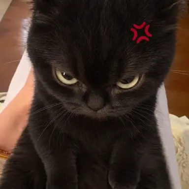 Profile image of りく