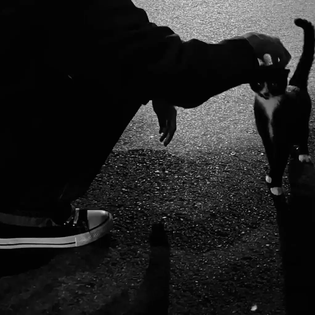 Hedone의 멘헤라 소녀는 당신이 너무 좋은걸!