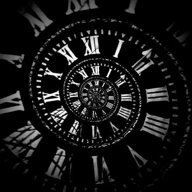 Profile image of 세드