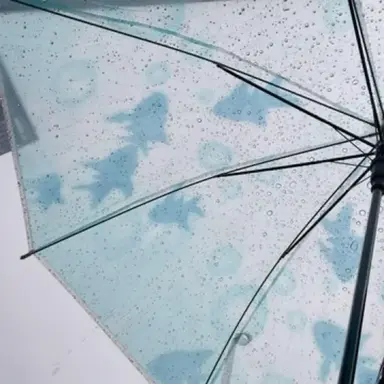 Profile image of 연정연