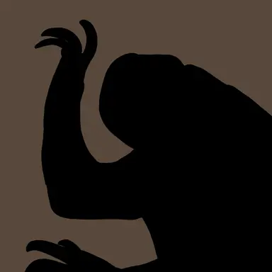 Profile image of 플래시