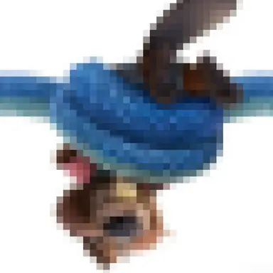 Profile image of 니블스