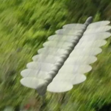 Profile image of スカイフィッシュ