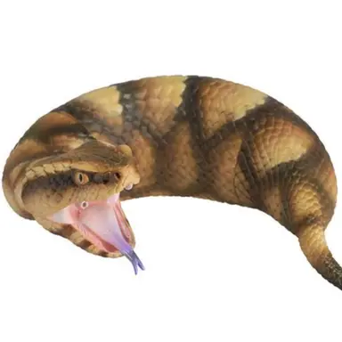 Profile image of ツチノコ