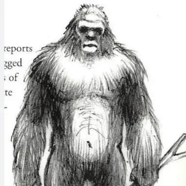 Profile image of ビッグフット