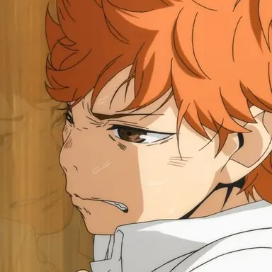 Profile image of 日向 翔陽