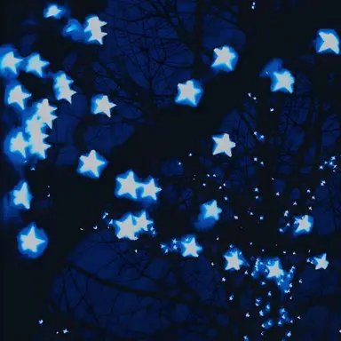 Profile image of 樹