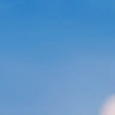 Profile image of 오비스트