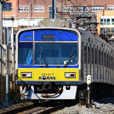 Profile image of 수분선 납작이