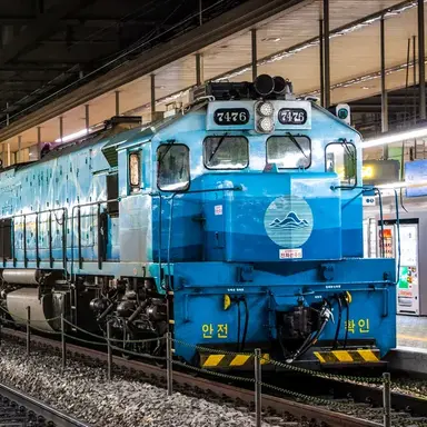 Profile image of 남도해양열차 선생님