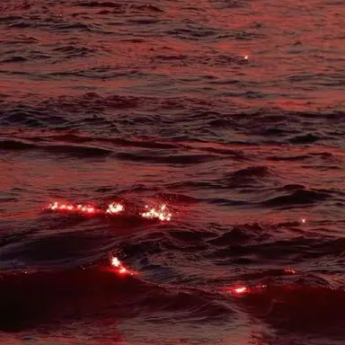 Profile image of 라더