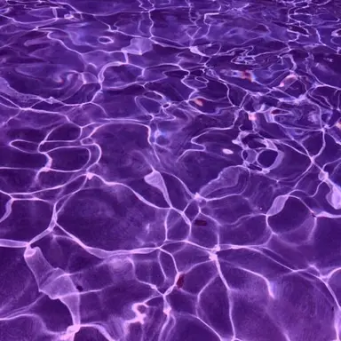 Profile image of 수현