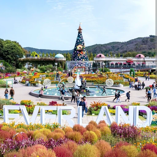 놀이공원 가는 날
