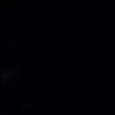 Profile image of 최세경