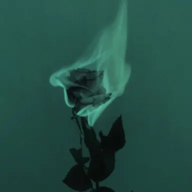 Profile image of 예엥