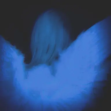 Profile image of 파이브