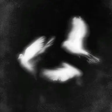 Profile image of 우융