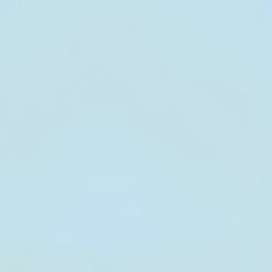 Profile image of 료미