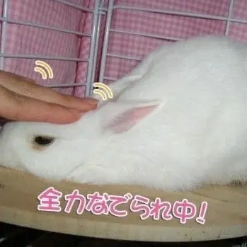 Profile image of シン・インヨン