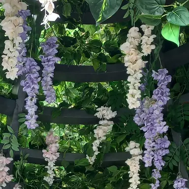 Profile image of 바니월드