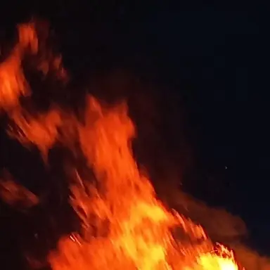 Profile image of 홍생