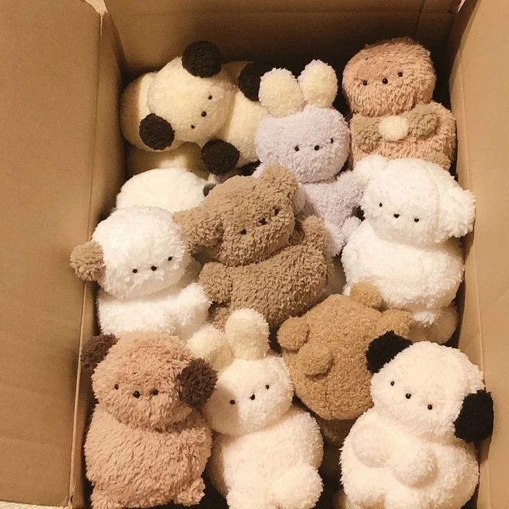김규빈